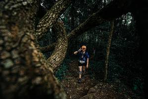 BIB: 
                            <button type="button" onclick="openModal(25698679)" class="btn btn-primary btn-sm float-right btn-popup" data-toggle="modal" data-target=".modal-high-quality">
                        <i class="fas fa-shopping-cart"></i> Add to Cart
                    </button>
                                            <button type="button" onclick="isThisMe(25698679, true)" class="btn btn-success btn-sm float-right btn-popup btn-isme hidden" data-toggle="tooltip" data-placement="bottom" title="นี่คือรูปของคุณใช่ไหม คลิกที่นี่เพื่อเอาเข้าอัลบั้ม">
                        <i class="fas fa-plus"></i> Add to album
                    </button>
                    <button type="button" onclick="isThisMe(25698679, false)" class="btn btn-warning btn-sm float-right btn-popup btn-isnotme hidden">
                        <i class="fas fa-ban"></i> Remove from album
                    </button>